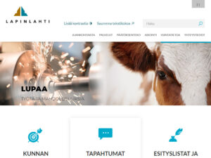 www.lapinlahti.fi