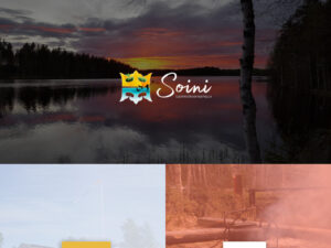 www.soini.fi